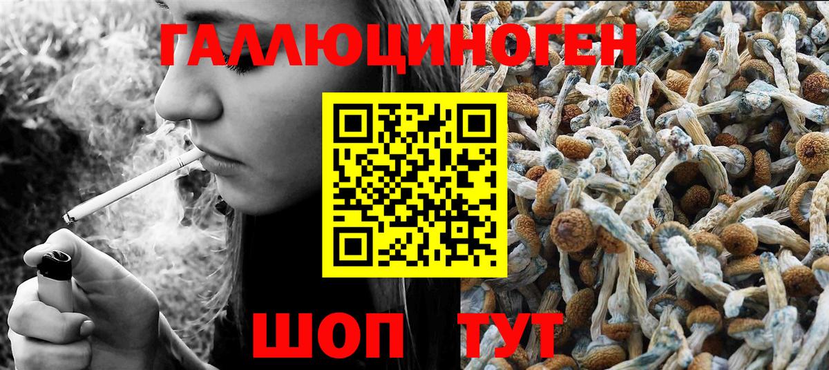 Усинск  Галлюциногенные грибы MAGIC MUSHROOMS  Вход с VPN  Псилоцибиновые грибы Psilocybe 